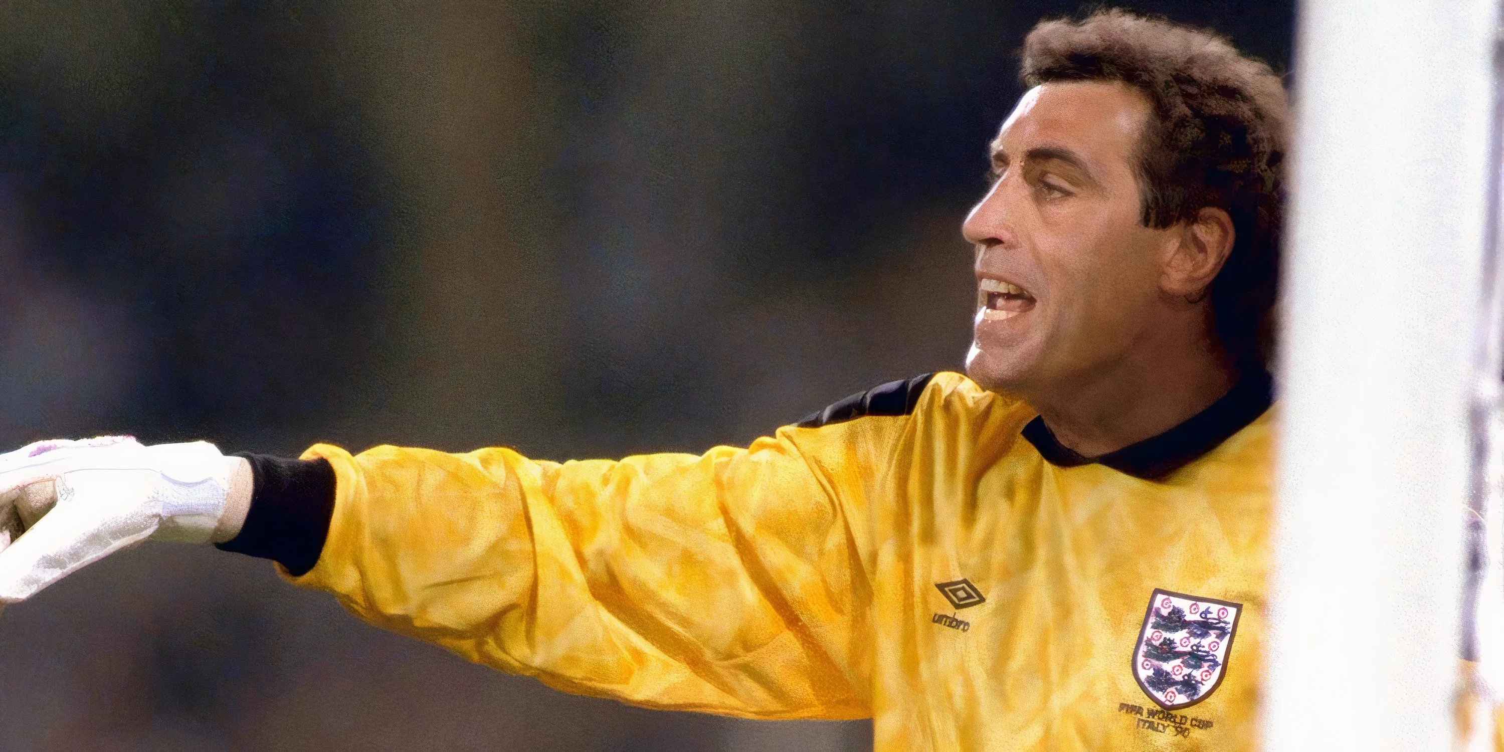 Thủ môn huyền thoại Peter Shilton, người giữ kỷ lục ra sân chuyên nghiệp nhiều nhất