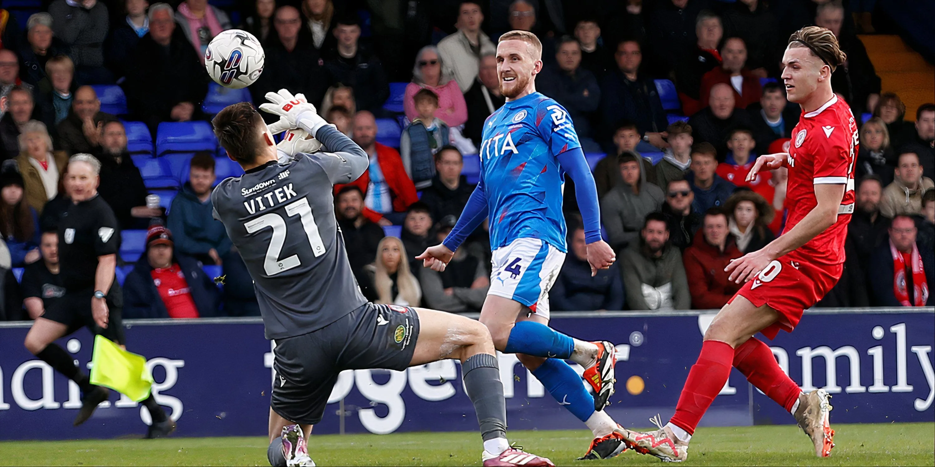Radek Vitek trong màu áo Bristol City, thủ môn trẻ có tỷ lệ cản phá và phát bóng ấn tượng ở Championship